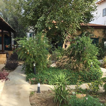 Palm Garden Guest House Nicosie Extérieur photo