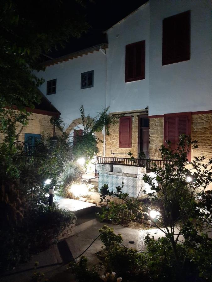 Palm Garden Guest House Nicosie Extérieur photo
