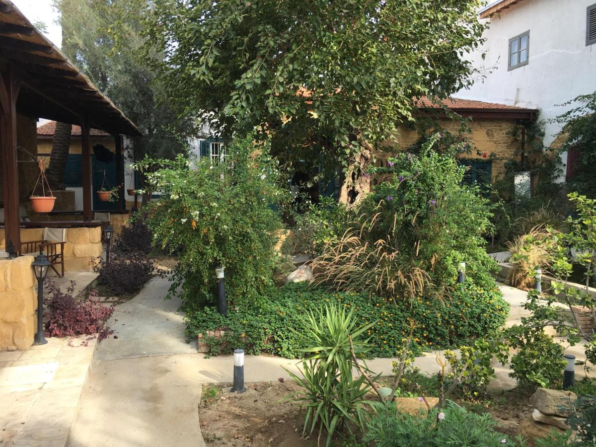 Palm Garden Guest House Nicosie Extérieur photo