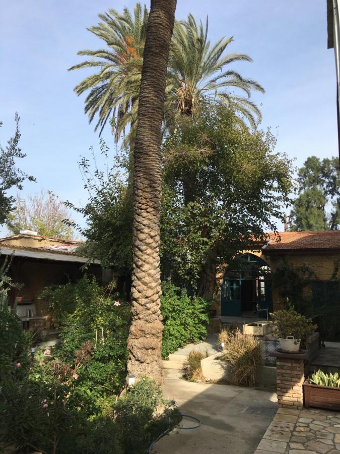 Palm Garden Guest House Nicosie Extérieur photo