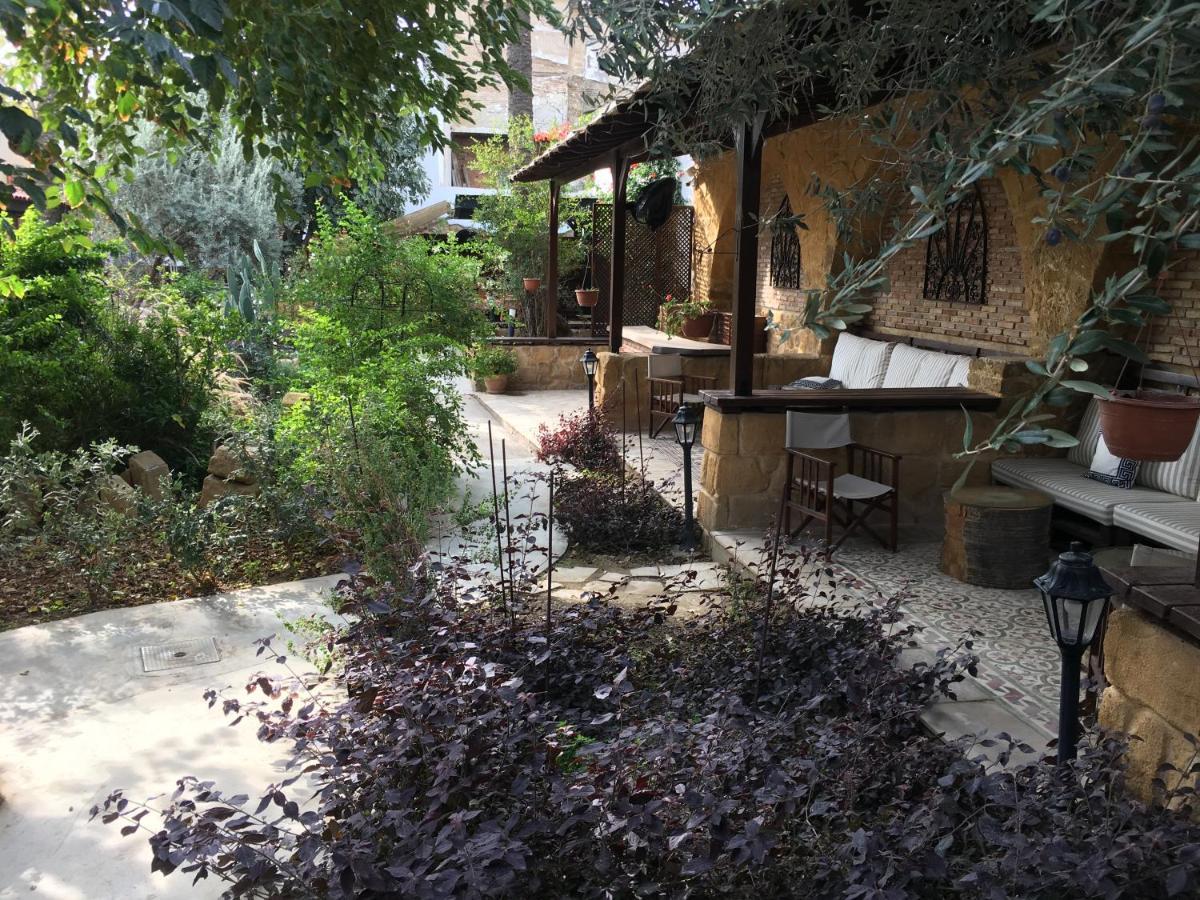 Palm Garden Guest House Nicosie Extérieur photo
