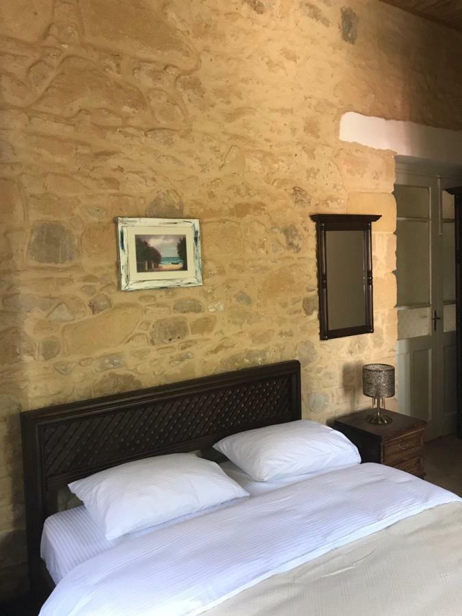 Palm Garden Guest House Nicosie Extérieur photo